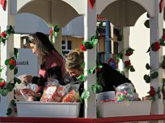 Umzug_2023_141